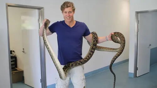 Le vétérinaire de Bondi Beach Episode 1