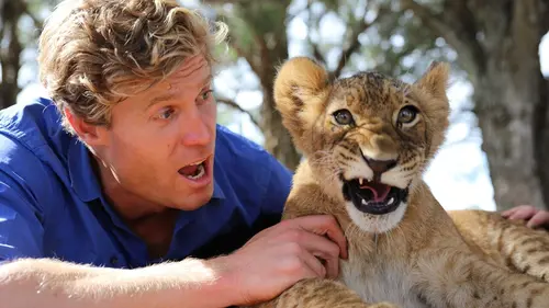 Le vétérinaire de Bondi Beach A Clinic First