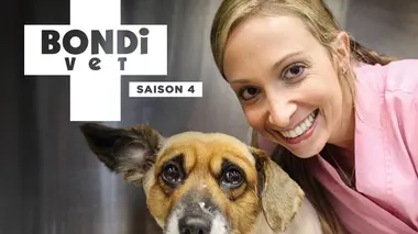 Le vétérinaire de Bondi Beach S04E01 Un jour aux courses