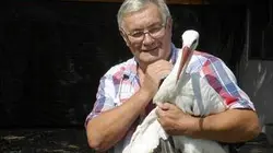 Visuel de Le vieil homme et la cigogne