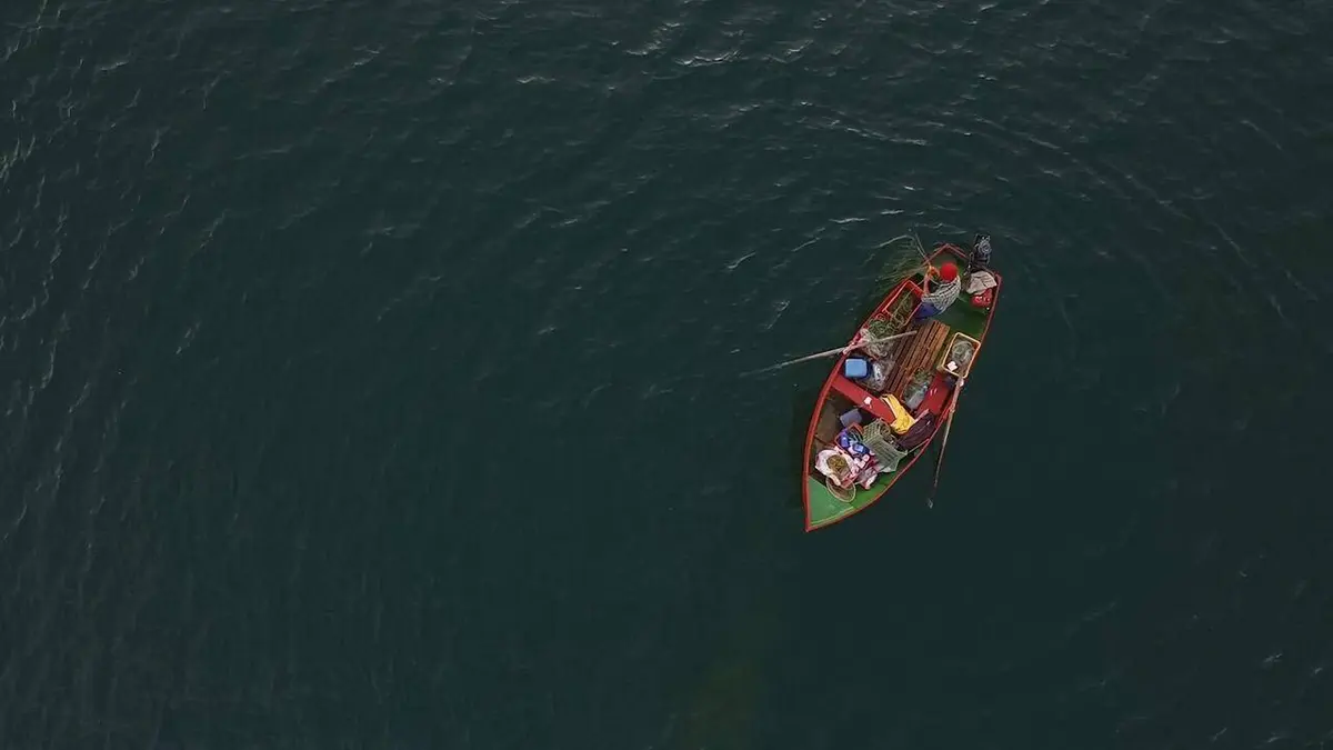 Le vieil homme et le lac