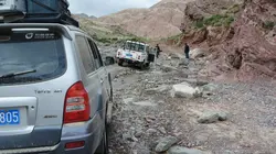 Le vieil homme et son aigle