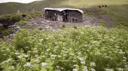 Le vieux médecin et son cheval : Géorgie, au-delà des nuages