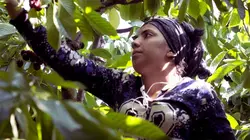 Le village  Une nouvelle vie ça inquiète un peu