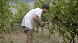 Le village Deux miracles de plus !