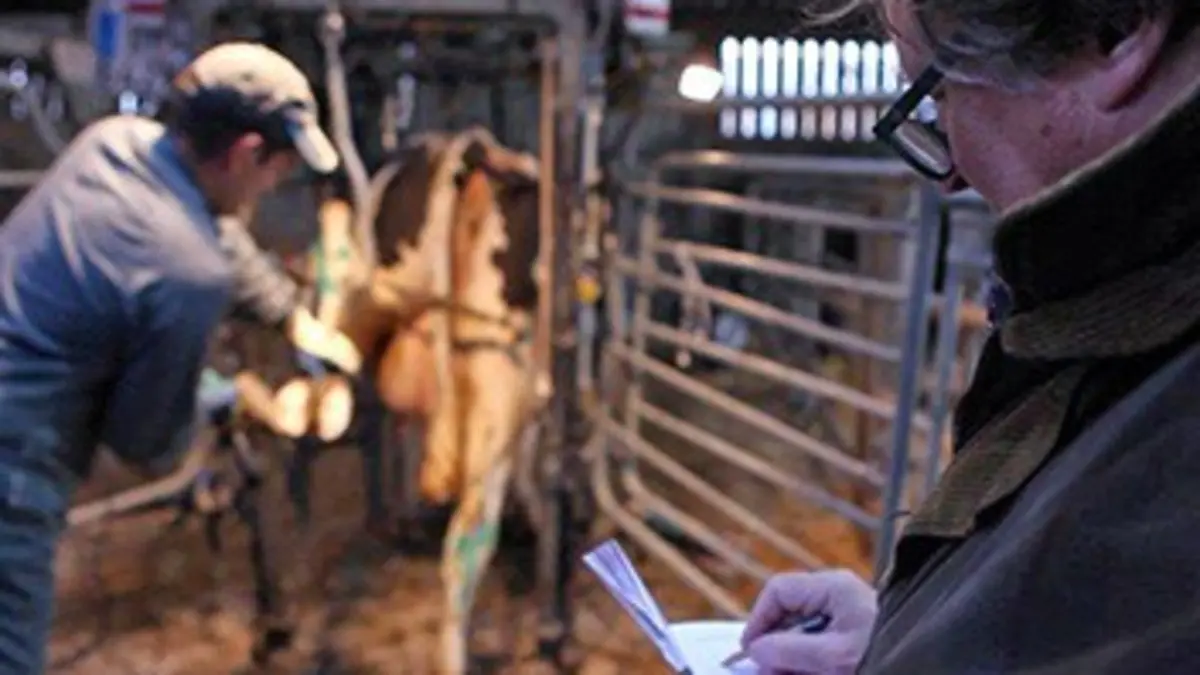 Le village métamorphosé