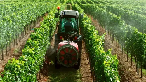Avis sur Le vin bio, vraiment bio ?