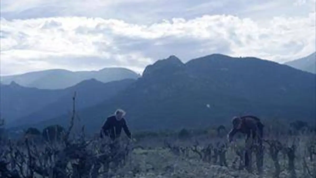 Le vin se lève