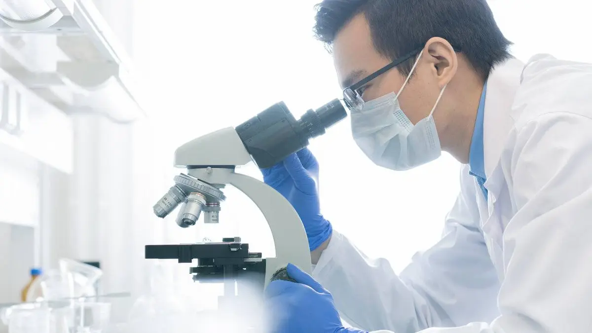 Le virus de la rage, l'ennemi invisible