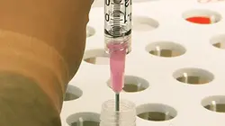 Visuel de Le virus qui soigne