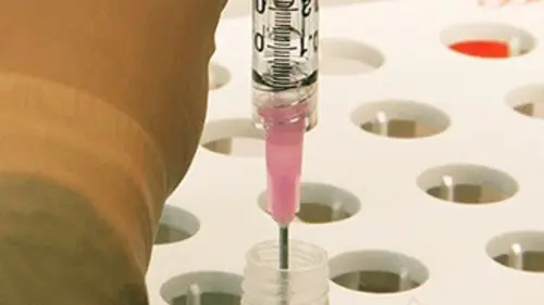 Le virus qui soigne