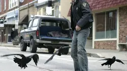 Visuel de Le vol noir