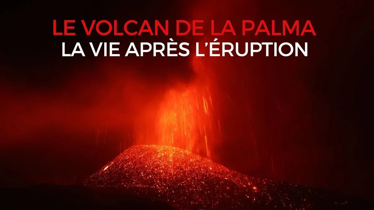 Le volcan de La Palma : la vie après l'éruption