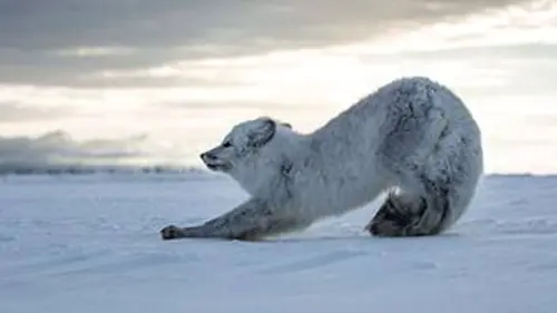 Le voyage de la vie E02 Vers l'indépendance