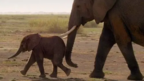 Le voyage de la vie E06 Une nouvelle génération