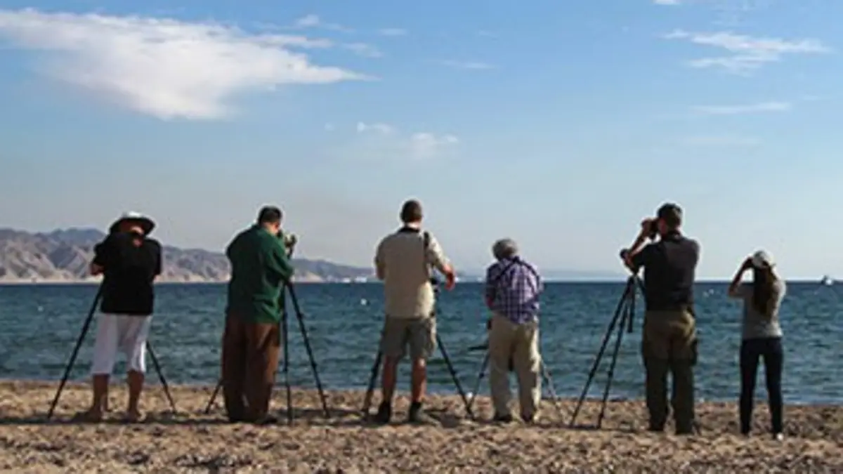 Le voyage des oiseaux migrateurs