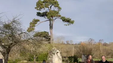 Le roi nu