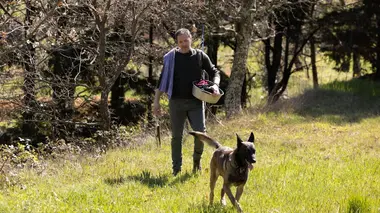 Le voyageur S02E06 La forêt perchée