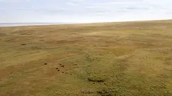 Le Yukon, fleuve glacé d'Amérique