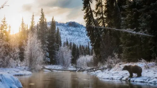 Le Yukon, fleuve glacé d'Amérique