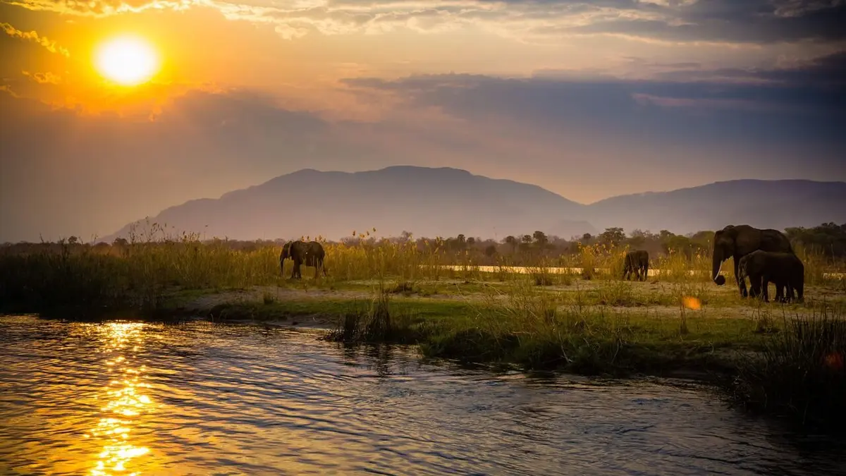 Le Zambèze, fleuve sauvage d'Afrique