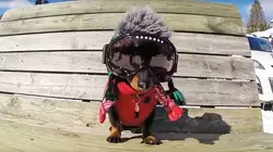 Le zap Le zap à la montagne