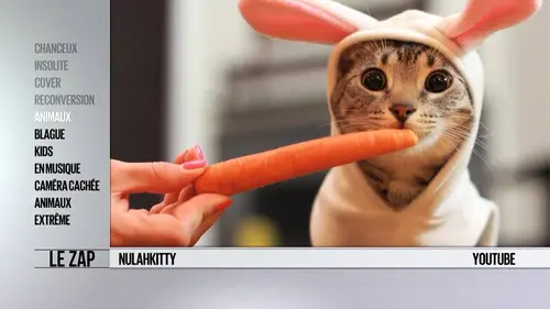 Le zap Le zap cstar 2017-2018