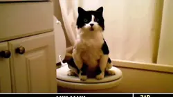 Le zap S09E01 Le zap de l'année 2020