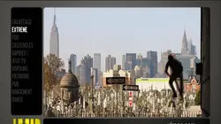 Le zap Le zap de l'année