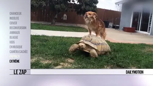 Le zap Le zap d'Halloween