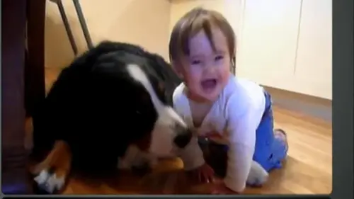 Le zap S09E01 Le zap de l'année 2020