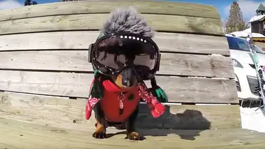 Le zap Le zap à la montagne