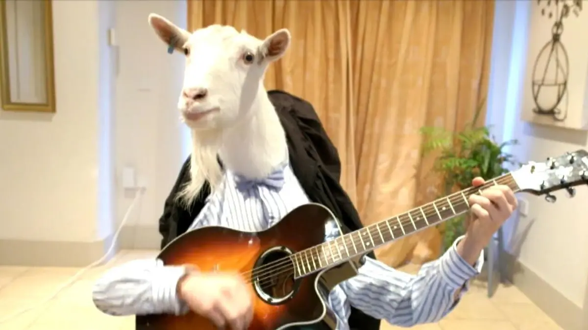 Visuel de Le zap Le zap de Cannes