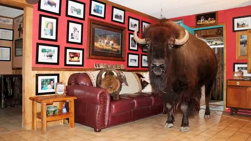 Le zapping au poil E01 Volume 1