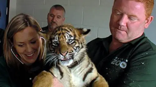 Le zoo E05 Gare aux reptiles