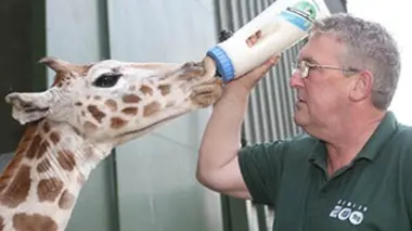 Naissances au zoo