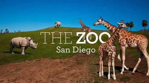 Épisodes de Le zoo de San Diego