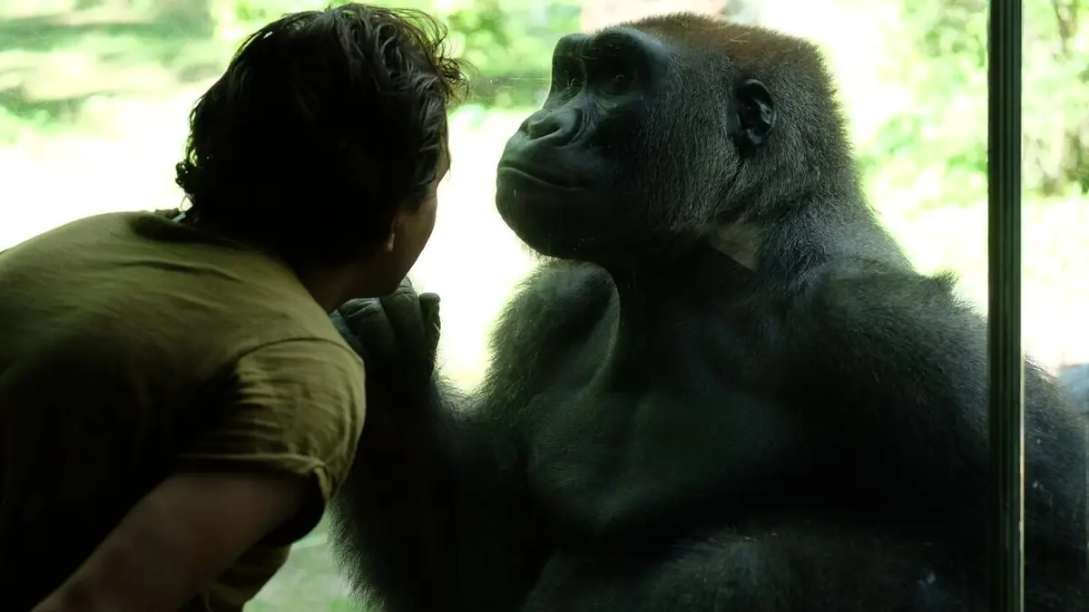 Le zoo du Bronx Le chouchou du zoo