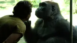 Visuel de Le zoo du Bronx