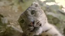 Visuel de Le zoo du Bronx