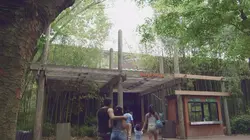 Le zoo du Bronx Confiance d'éléphant