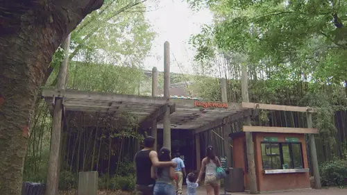 Le zoo du Bronx Confiance d'éléphant