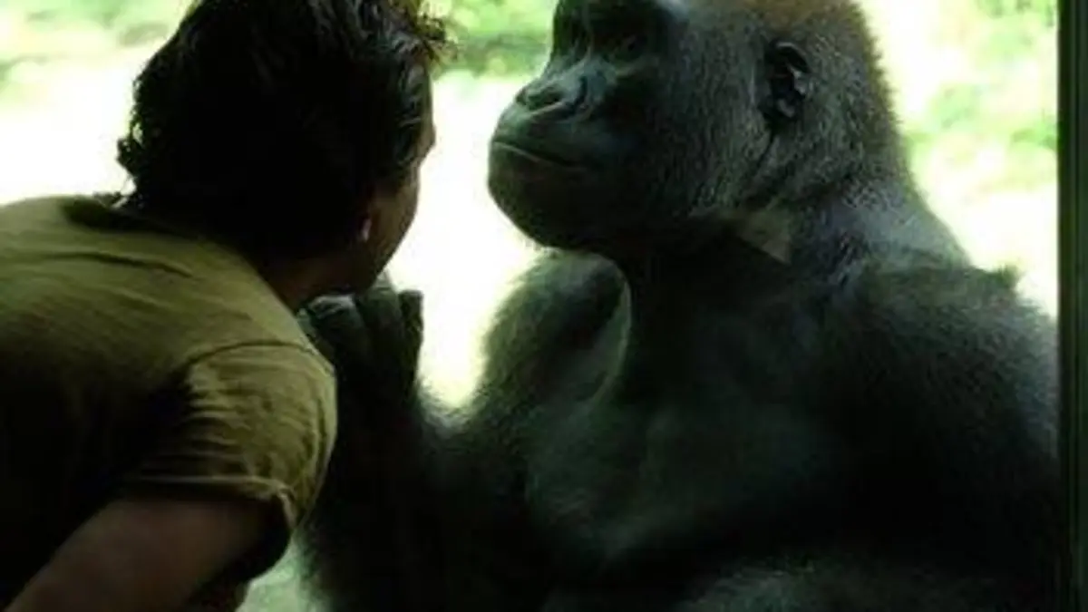 Le zoo du Bronx S01E01 Le chouchou du zoo