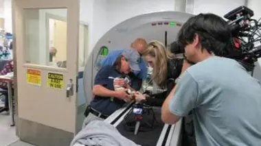 La romance des loris