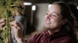 Légaliser le cannabis médical ?