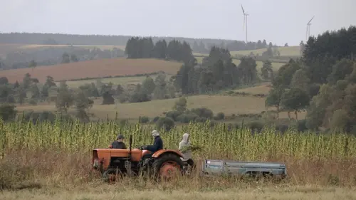 Légaliser le cannabis médical ?