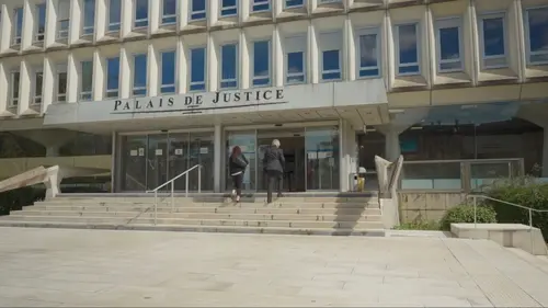 Légistes, aux côtés des vivants