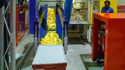 Lego : dans les coulisses du N°1 du jouet