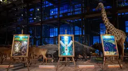 Lego Masters  S05E04