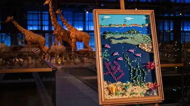 Lego Masters S05E04